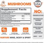 Mushroom-Brain-Supplement-Nootropic-with-Lions-Mane-Reishi-Codyceps-for-Energy-Focus-Genius-Mushrooms-by-the-Genius-Brand_8c2dc2fc-4f8a-4ad9-b251-adf1f1ef3ccd.42bb8a220c8e04d1dd3cc898a2ece633