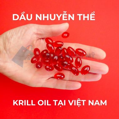 Dầu nhuyễn thể là gì? Phân biệt Krill oil và Fish oil